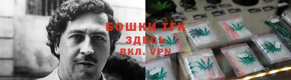 ГАЛЛЮЦИНОГЕННЫЕ ГРИБЫ Богородск