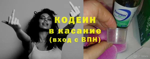 индика Белокуриха