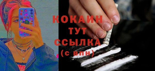 индика Белокуриха