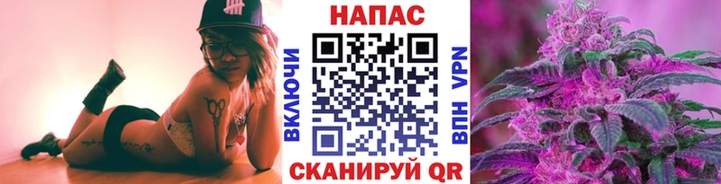 где можно купить   Саяногорск  Конопля MAZAR 